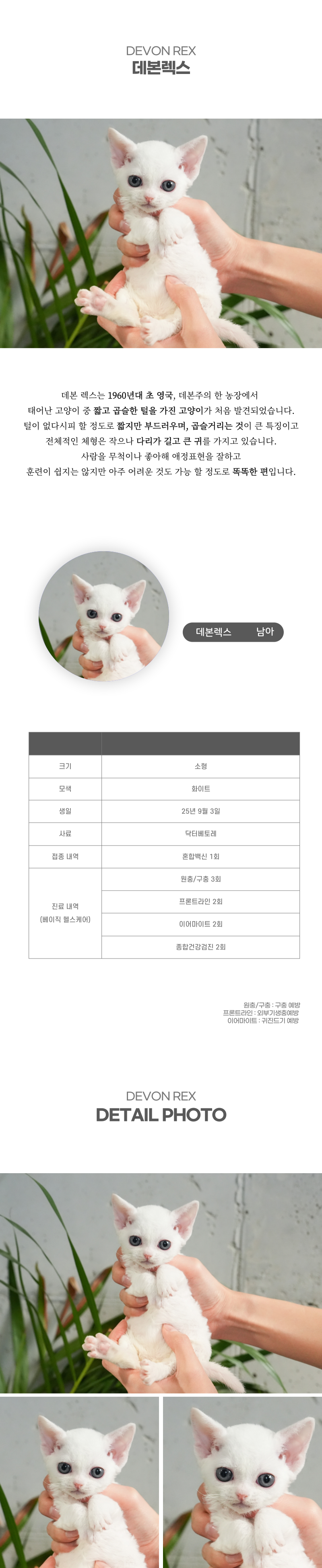 데본렉스_상세이미지_2